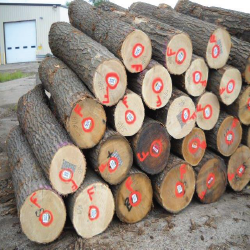 Red Oak Logs 2