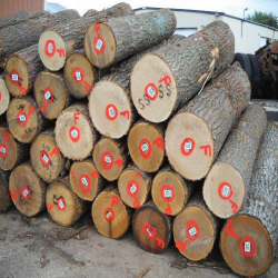 Red Oak Logs 3